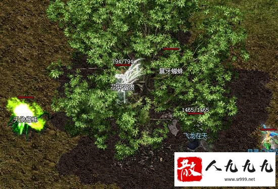 传世散人服升级、打宝新手秒变大神攻略