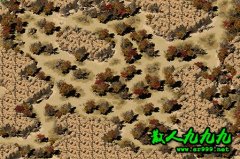 ɳĮ�Ҷ����PVP�淨����