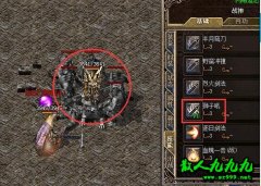 ʨ�Ӻ��ڴ�ֹ����е�����