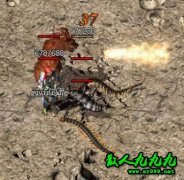 ���ֹһ���������ұ����ĵ�