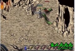 �һ���������������Σ��