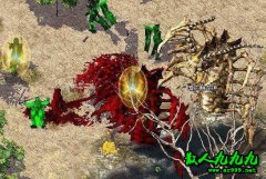 ���������ϸ����