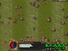 û�Ŷӵ����˿����������