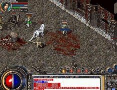 ����������Ѫ����ʿ��BOSS�춨������