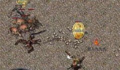 ����ɽ���Ƿ�ʦ���������ĺ�ȥ��