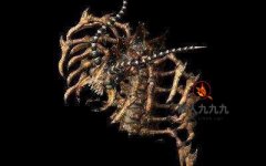 ���������־���� �����˽��ȴ��Ҳ�Ѽ�����