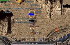 ��һ��ż��ʬ��������������