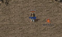 �ߵȼ���ʦ��ʬ�����