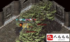 �����п�BUFF������ʲô��