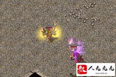 Ѱ������ɭ�����ض�Ѩ�����