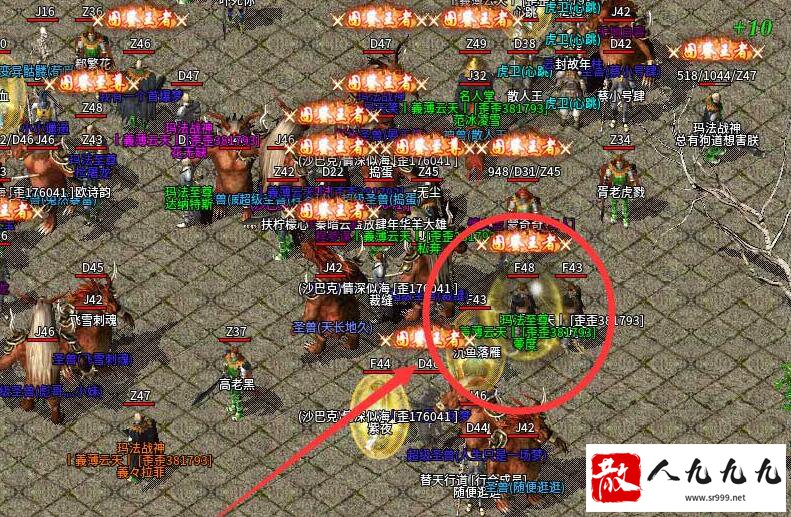 귨½ļ