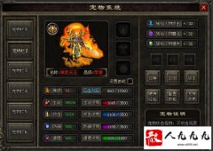 ����ϵͳ�������������۾������ص㼰����