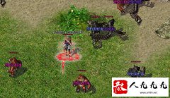 ����sf���������Ч���棬Ԫ������Դ���Ŷ�Э��ȫ��