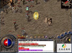 ������Ҹ�Ч�����������ֵ���ʬ������